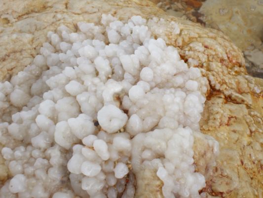 Dead Sea salts
