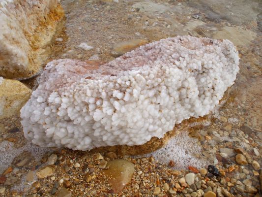 Salt crystals in the Dead Sea
