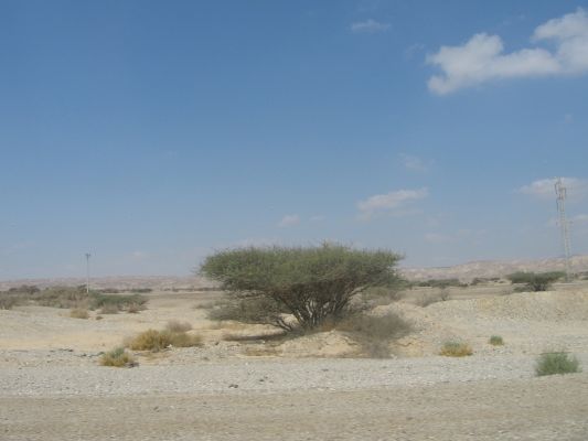 eilat 10.4.07 (22).jpg