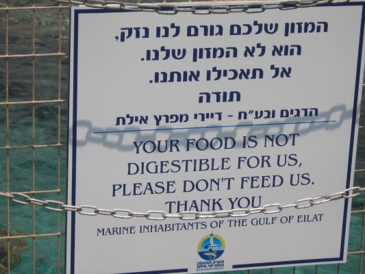 eilat 11.4.07 (23).jpg