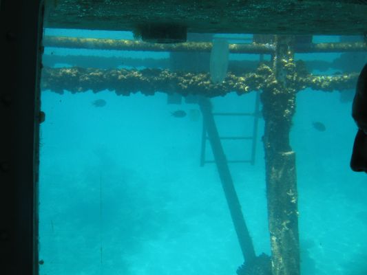 eilat 11.4.07 (28).jpg