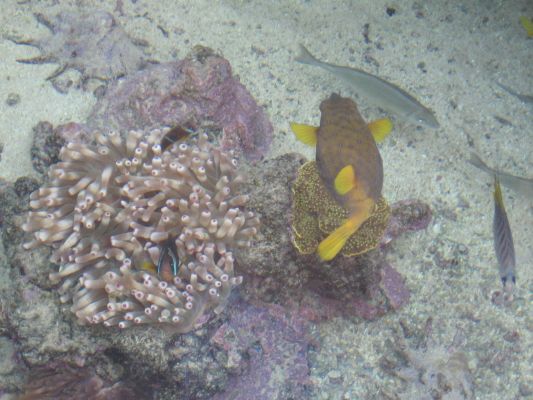 eilat 11.4.07 (6).jpg