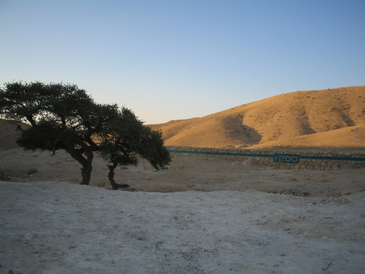 A Tree in the Desert, Road to Dead Sea.
Keywords: Dead Sea, Desert, Tree in desert, Desert and sea, Road to Dead Sea, Desert Road, Israel Desert