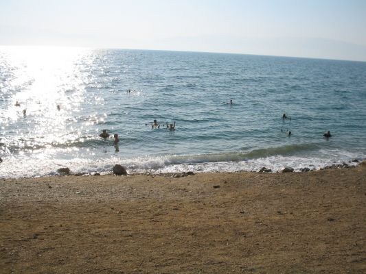 Floating in the Dead Sea

