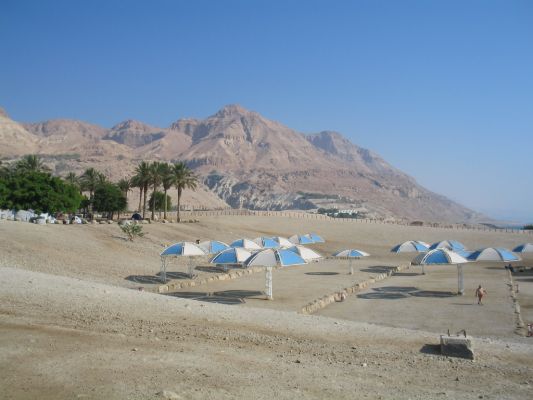 Ein Gedi - Sun umbrellas
